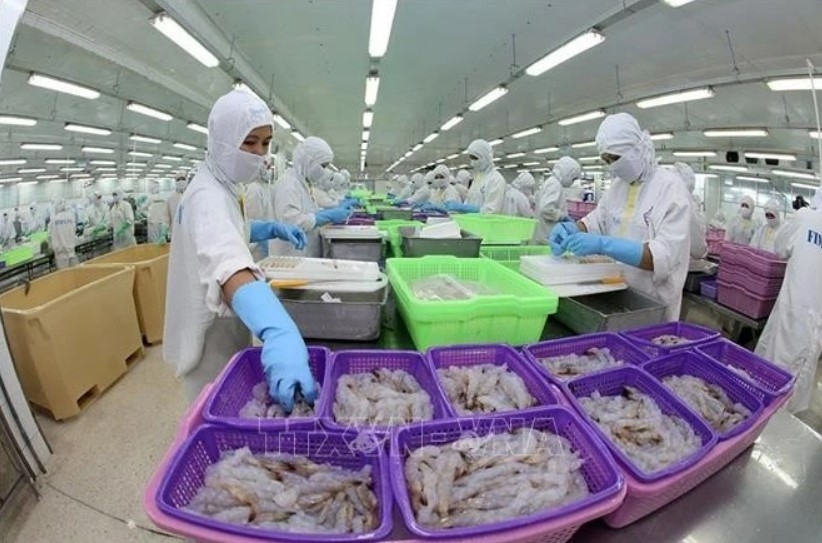 Vietnam becomes Brazil’s second largest seafood supplier